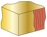 USURA-SCHEGGIATURA-EST-TAGLIO
