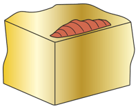 USURA-TAGLIENTE-RIPORTO
